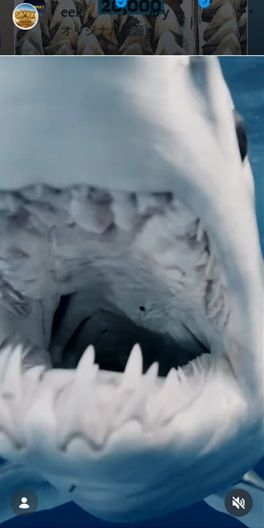 NY沖で巨大ザメ、核廃棄物による突然変異体の可能性→シャーク＋ゴジラ