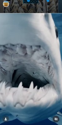 ディスカバリー・チャンネル「シャーク・ウィーク」のインスタグラム＠sharkweekより
