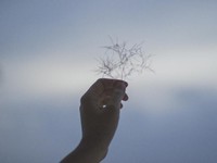 思ってもないことを言って、嘘までついて、今の私は一体誰なんだろう