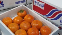千疋の柿　JA香川県 提供
