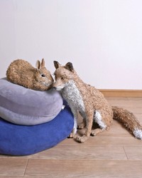 現実では見られない、ウサギとキツネが寄り添う様子