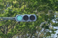 青信号になっても前の車が動かないときは？※画像はイメージです（ xiaosan/stock.adobe.com）