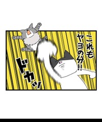 【漫画】『自称ボス猫VS最強猫！結果は…！？』9（まんぼう！さん提供）