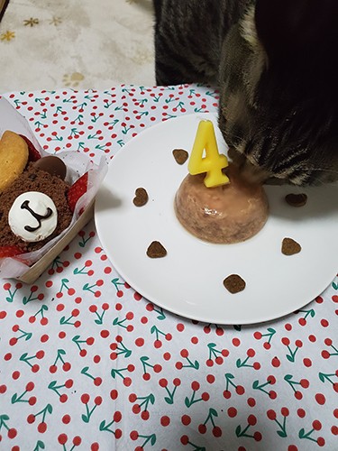 はっぴーの4歳を祝うケーキ