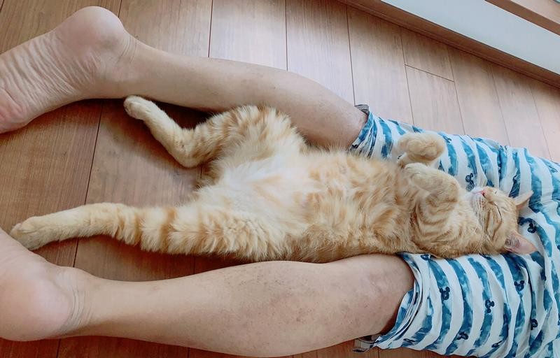 新しい家族のもとでの福どき