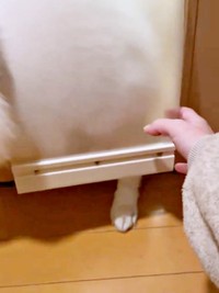 スノちゃんの困り顔を見た飼い主さんがドアを持ち上げるとーー（画像提供：いのさん）