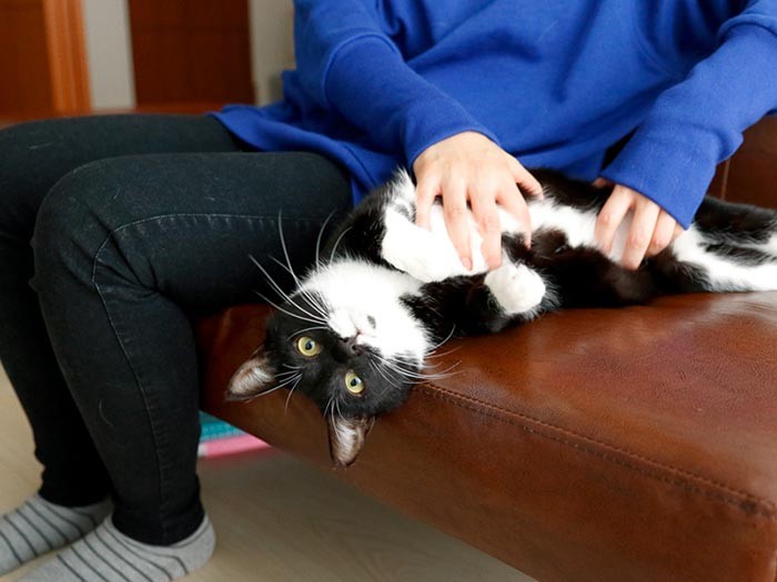 宙くん、お久しぶりー。大きくなったね。