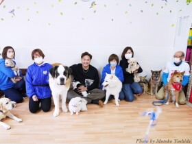 犬と暮らす覚悟　阪神タイガース・秋山投手とふれあったセント・バーナード、なぜ保護犬に？