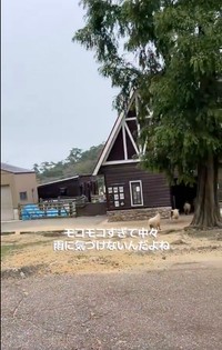 自分のおうちに帰ります（動画よりキャプチャ／提供：六甲山牧場）