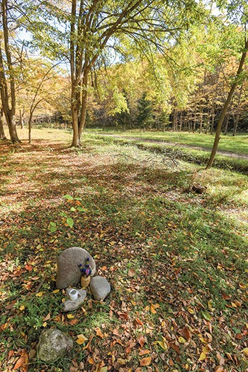 作夏他界したれんちゃんをはじめ、これまで暮らした猫たちのお骨を納めた墓標