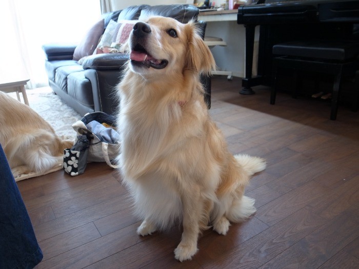 最初はオスワリもできなかったの