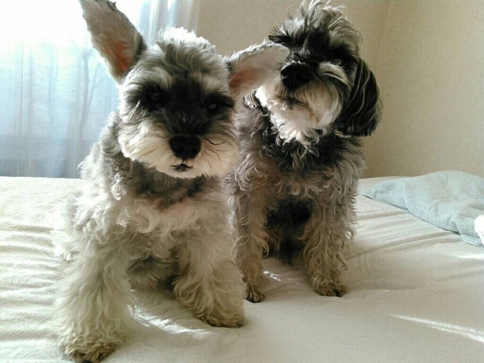 14年間、最高に幸せな時間をありがとう（大野さん提供）