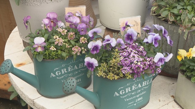 秋冬に強い植物は？花を咲かせるには？　専門家に聞く「秋・冬ガーデニング」の疑問【みんなのハテナ】