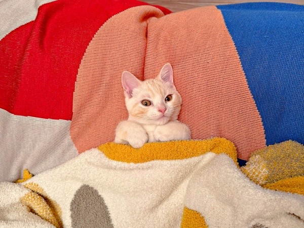 まるで小さな子ども！ まったりくつろぐうにくん（画像提供：こぴさん）