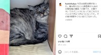 消防点検で大パニックになったグリグリくん（マツバラさん提供、Instagramよりキャプチャ撮影）