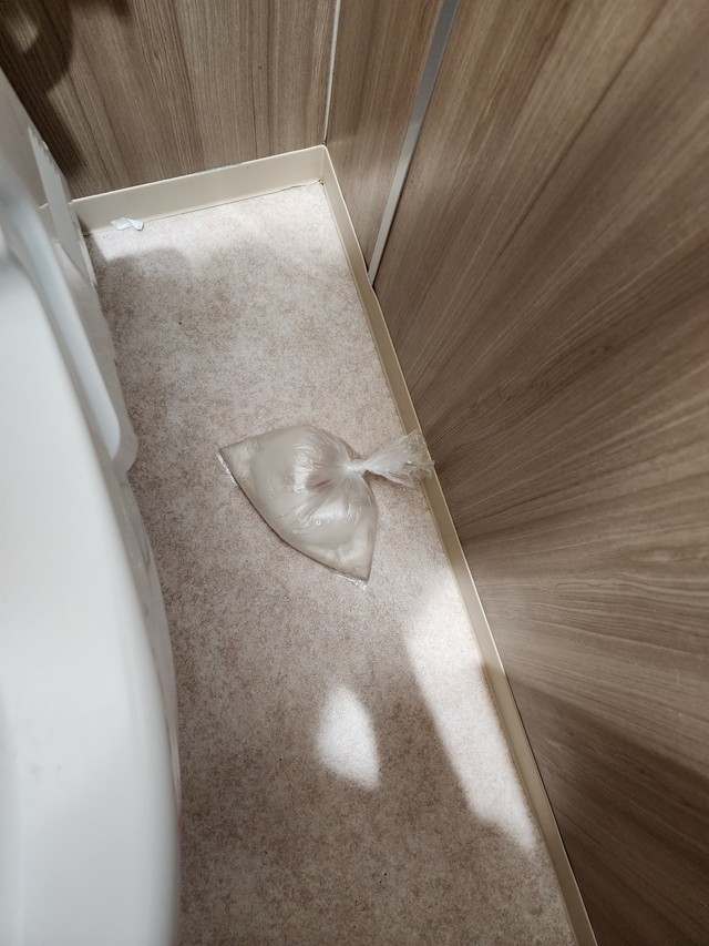 トイレの個室の床にうちすてられていた金魚（じゃがいもいんこさん提供）