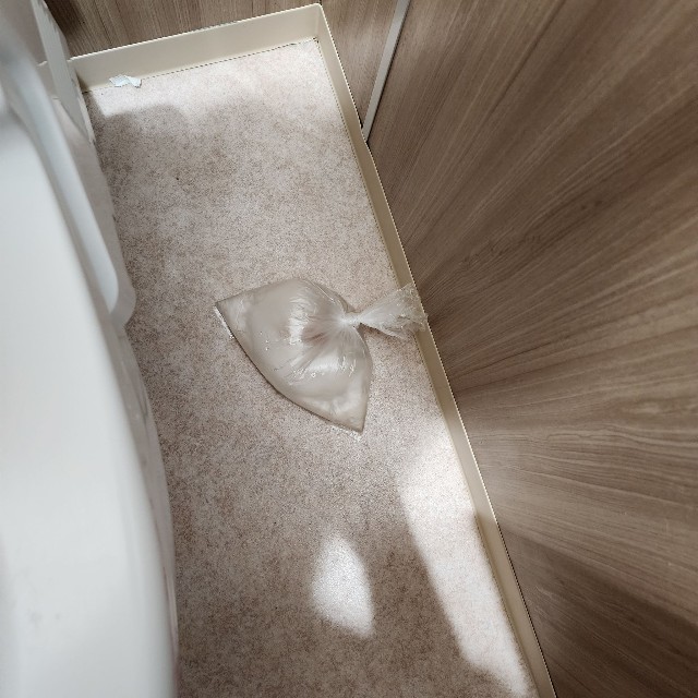 トイレの個室の床にうちすてられていた金魚（じゃがいもいんこさん提供）