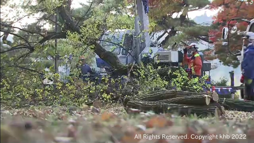 bf0de924480b582b138c927e2cbea8