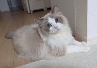 今日も暑かったね