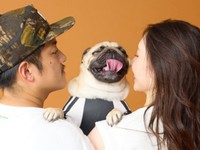 パパとママに抱っこされて嬉しそうなむさしくん（画像提供：パグのむさしさん）