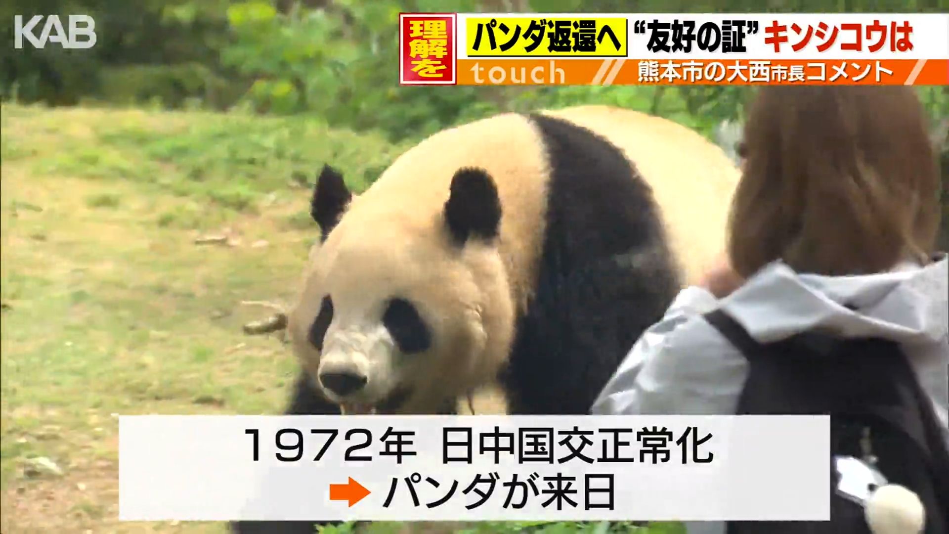 パンダ返還へ…“友好の証”キンシコウは？1993年中国から熊本に（1