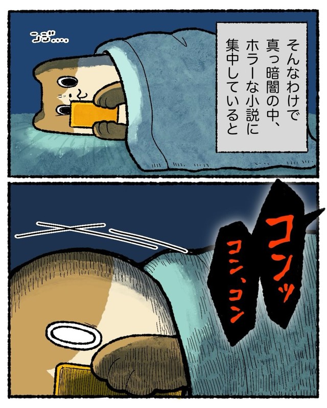 真夜中に不思議な音が…（ゆうさん提供）