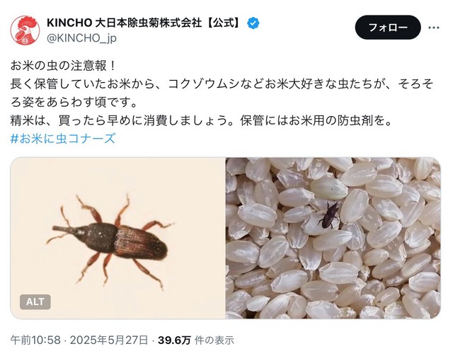 大日本除虫菊の公式X「長く保管していたお米から、コクゾウムシなどお米大好きな虫たちが、そろそろ姿をあらわす頃です」（スクリーンショット）