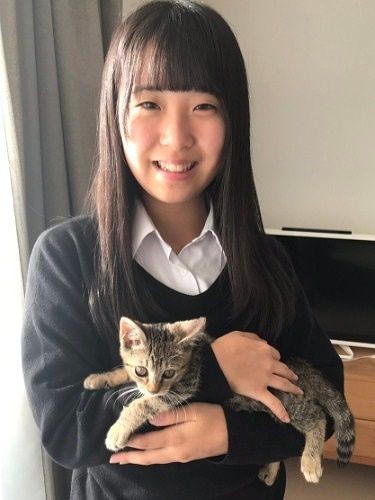 修学旅行から戻ったら子猫がいてびっくり（提供写真）