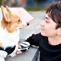 人間大好き！ 飼い主さんと見つめ合う柊くん（画像提供：Daikiさん）