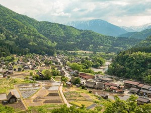 ねこじゃらしが茂り、電車も少ない。変わらない町がありがたかった