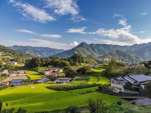 農地の相続4　実家を継ぐ予定がない人ほど早めに情報収集と相談を