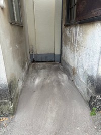 地域猫の住処を大掃除をしてきれいに（タノビケルトさん提供）
