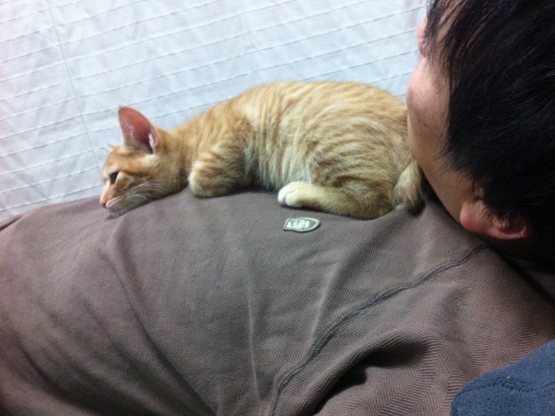 取り残されたみんなは、悲しくてもぬけの殻に