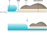 （上）水が汚れまで流れてきて（下）水が汚れとお皿の間に入り込むイメージ（画像提供：ＤＧ　ＴＡＫＡＮＯ）