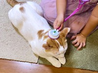 背中の次はーー頭の診察も受けたむぎくん（画像提供：むぎさん）