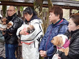 戦後とだえていた犬の祈禱が復活　健康を祈って愛犬家が殺到！