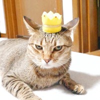 オカンに褒められた時