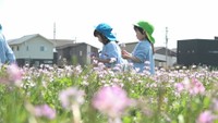香川県丸亀市郡家町にある「郡家れんげの郷」