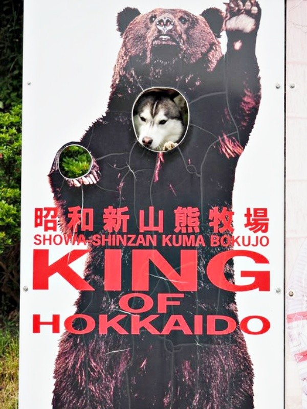 昭和新山熊牧場で顔ハメ看板からひょっこりムイちゃん（画像提供：ムイさん）