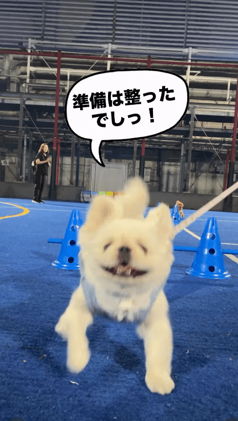 体づくりは完璧