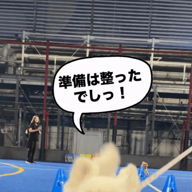 体づくりは完璧