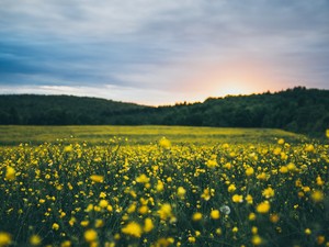 ハルが続くと信じていた。アオい私に訪れた別れは私を大人にした