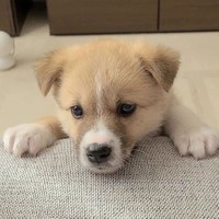 大きな手、大きくなりそうな予感=suzuandsakuさん提供