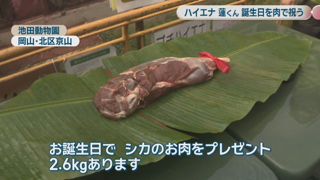 池田動物園　岡山市北区京山
