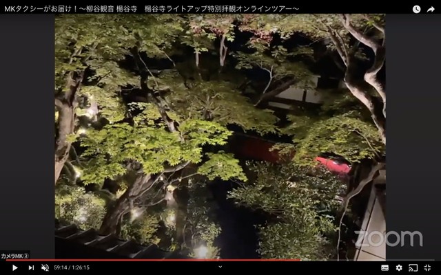 貸し切りで特別ライトアップされた楊谷寺の青もみじをオンラインで鑑賞できる（提供画像）