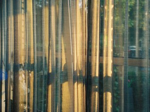 私を嫌いな「わたし」のままで、生きていく