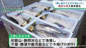 初ガツオの入荷が本格化　価格は例年並み　仙台市中央卸売市場
