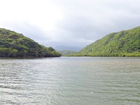西表島の浦内川（画像提供：gentilisさん）
