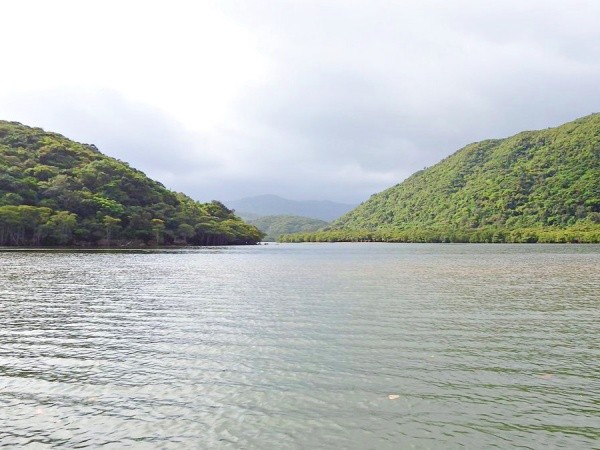 西表島の浦内川（画像提供：gentilisさん）