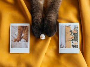 一人での暮らしを考えて始めた「お金」の勉強が、私の選択肢を広げた